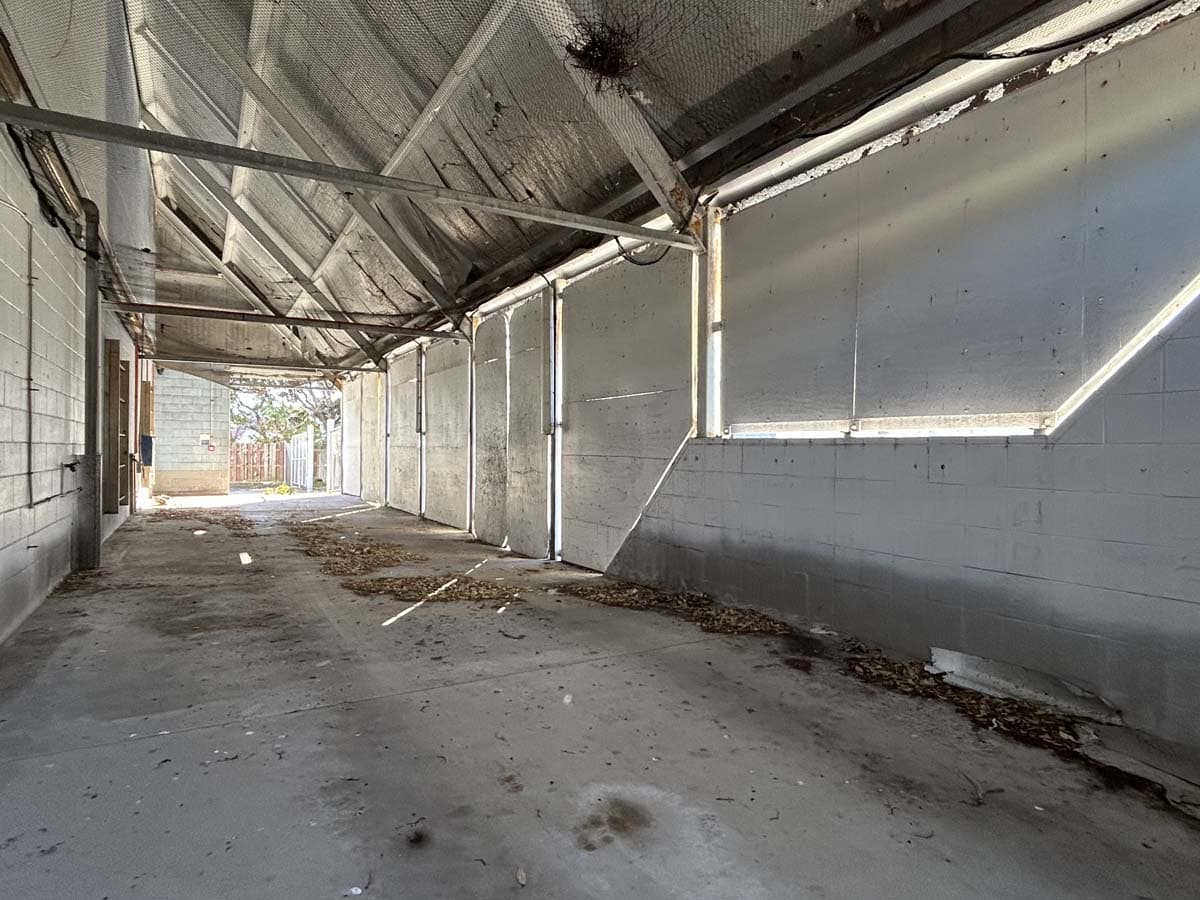 20 Kingsford Smith 21 20 Kingsford Smith 21